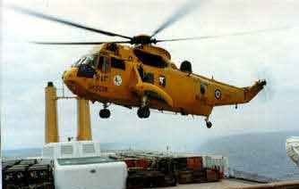 seaking1.jpg